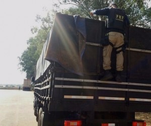 PRF apreende cigarros contrabandeados avaliados em R$ 800 mil Policiais encontraram cerca de 20 mil pacotes de cigarros ilícitos - Divulgação/PRF