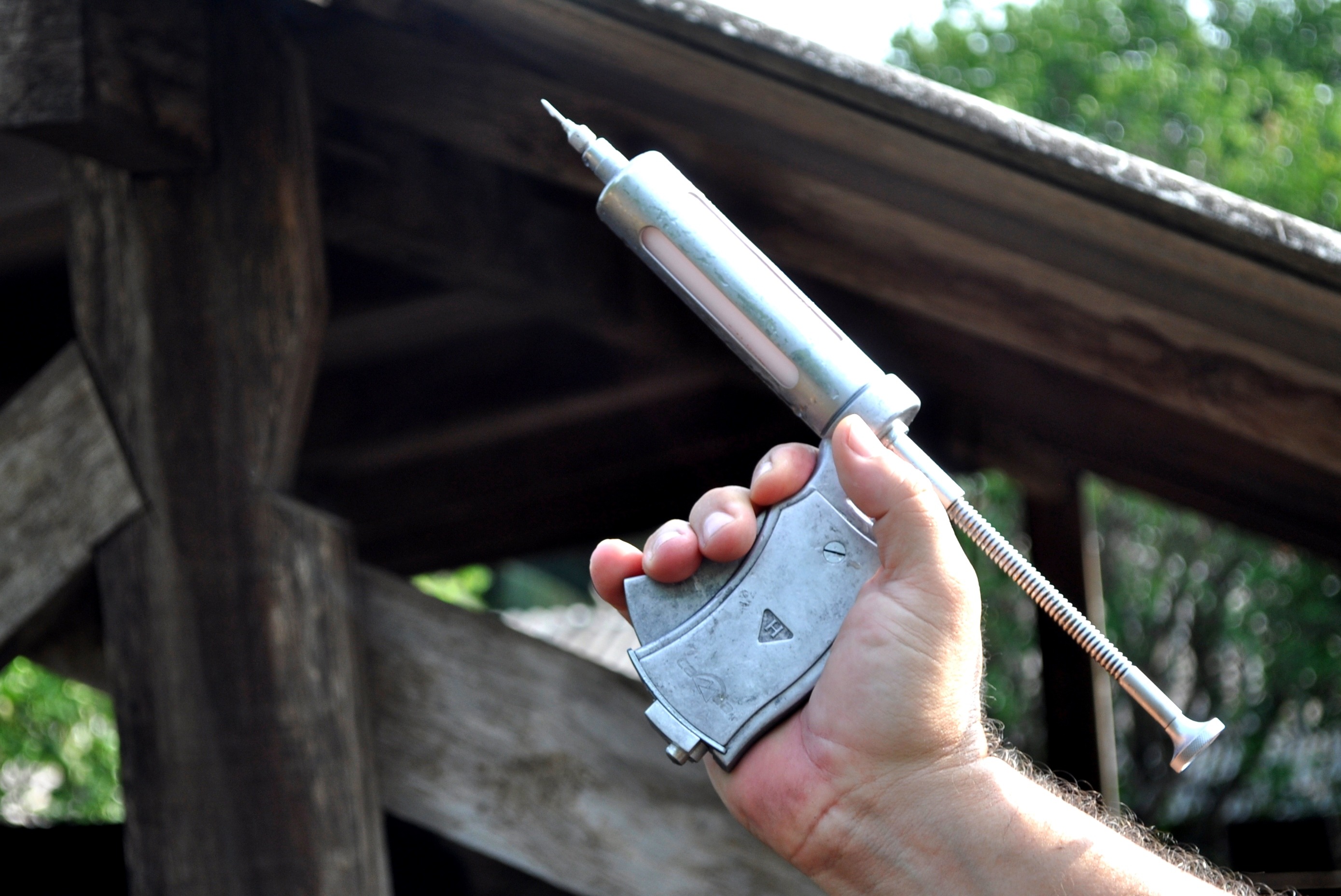Imunização do rebanho bovino começa hoje em Mato Grosso do Sul