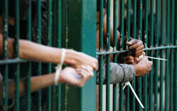 Observatório do crack participa de debate sobre o Futuro das Políticas de Drogas, Perspectivas para o Brasil e a Região