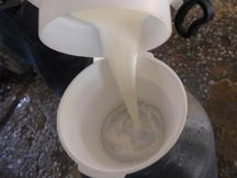 Acusados de adulterar leite são presos no Sul