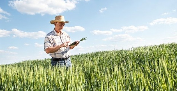 Índice de Preços ao Produtor tem queda de 1,24% em julho Índice de Preços ao Produtor tem queda de 1,24% em julho