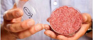 Carne artificial pode estar à venda em até 5 anos, dizem pesquisadores