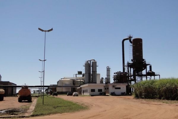 Sob exigência do MPT, Usina Vicentina faz acerto com a lei e contrata aprendizes Divulgação