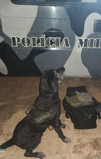 Com auxilio de cão farejador, Choque prende mulher com droga em ônibus