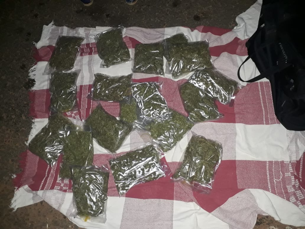 Com auxilio de cão farejador, Choque prende mulher com droga em ônibus Com auxilio de cão farejador, Choque prende mulher com droga em ônibus