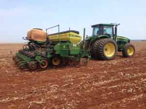 Produtores de MS retomam plantio após estiagem