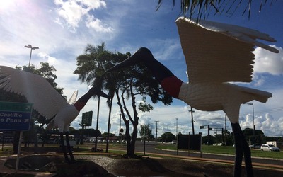Concurso vai escolher nomes dos tuiuiús de monumento no aeroporto internacional de Campo Grande (MS) (Foto: Sicredi/Divulgação)

