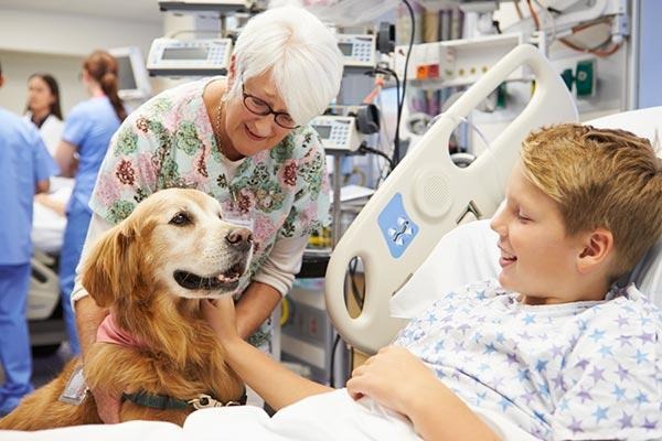 Entrada de animais domésticos em hospitais passa a valer no MS Entrada de animais domésticos em hospitais passa a valer no MS