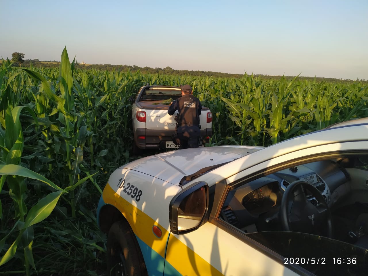 PMR apreende quase meia tonelada de agrotóxicos em picape