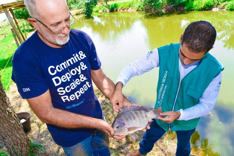 Produtores de peixes estão comercializando cada vez mais com frescor e qualidade Divulgação