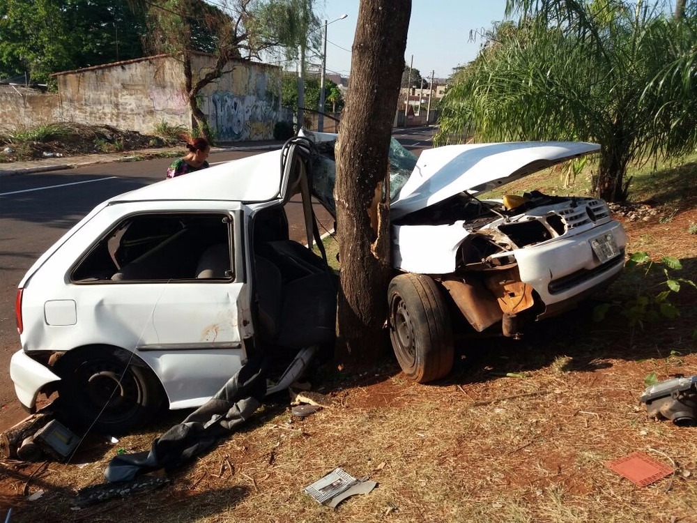 Carro bateu em árvore e ficou destruído (Foto: Ellen Rocha)
