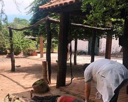 Porã News