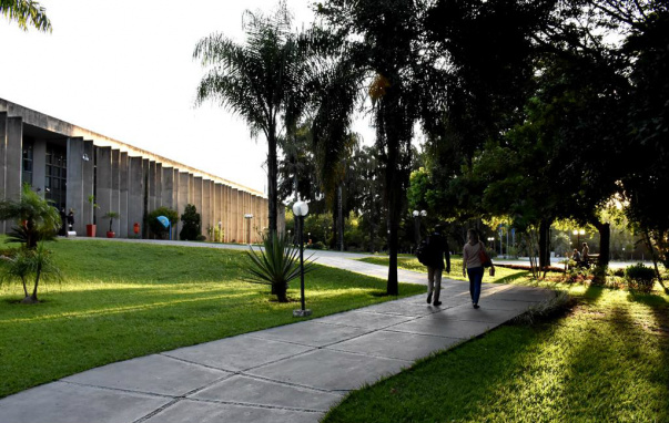Agenda: Fechamento das Agenfas e piso salarial dos farmacêuticos em debate Além dos eventos, as sessões ordinárias ocorrem todas terças, quartas e quintas-feiras
Foto: Roberto Higa AL/MS