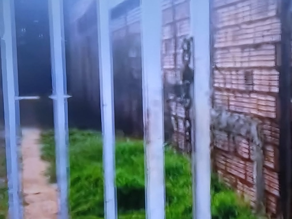 Briga entre tio e sobrinho acaba em tiros e armas apreendidas