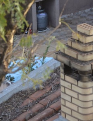 Vizinha teve de pular muro para ajudar família - Paulo Ribas