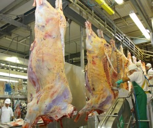 Foto Arquivo Correio do Estado