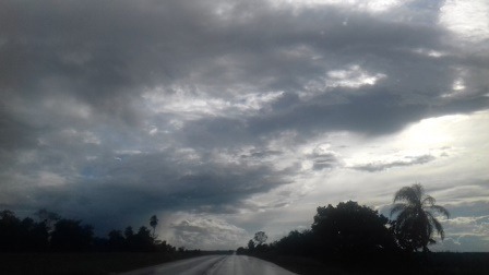 Excesso de nebulosidade prejudica lavouras de soja no sul de MS