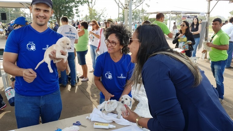 CCZ promove feira de adoção de de cães e gatos, adultos e filhotes Divulgação