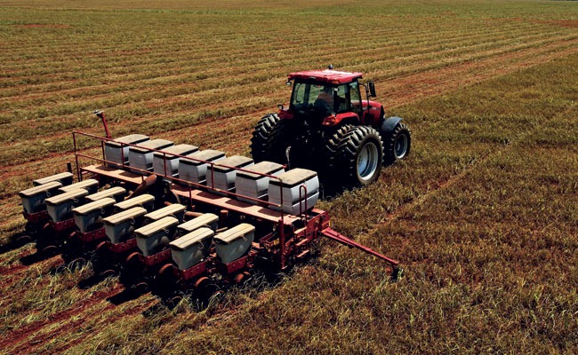 Estado deve ampliar em 2,78% a área plantada de soja