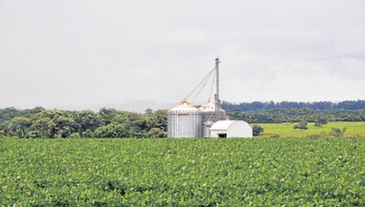 Estado se prepara para nova supersafra de soja Expectativa é que a colheita se inicie na primeira semana de fevereiro e encerre-se no mês de abril, em Mato Grosso do Sul - Foto: Valdenir Rezende / Correio do Estado