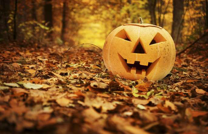 13 coisas que você deve saber sobre Halloween © Receitas sem Fronteiras