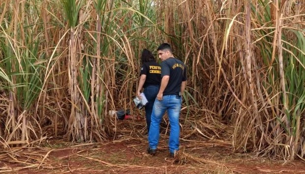 Jovem é encontrada morta em canavial com sinais de estupro (Osvaldo Duarte)