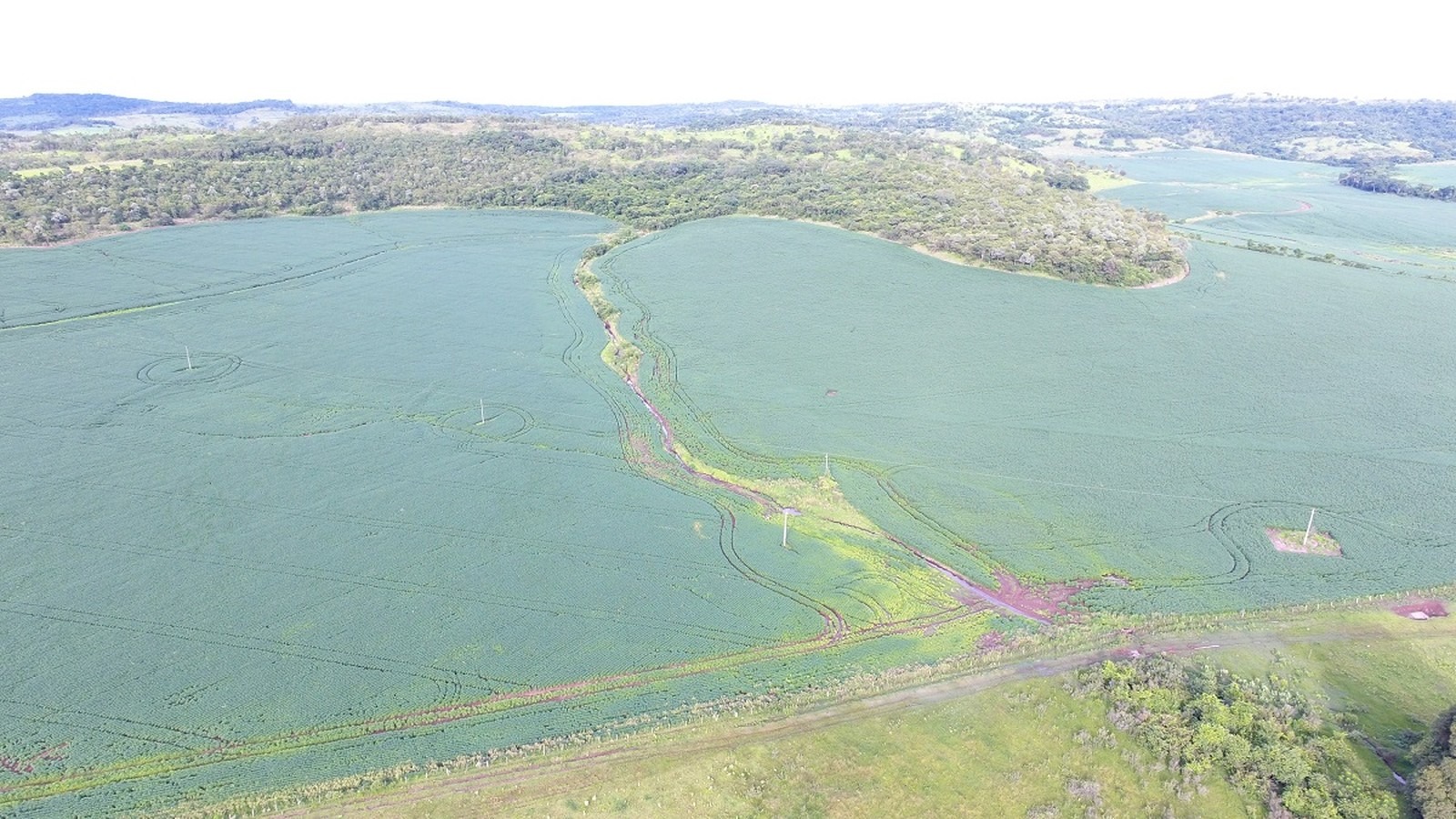 Área desmatada da Bacia do Paraguai em MS detectada na Operação Cervo-do-Pantanal (Foto: PMA/Divulgação)