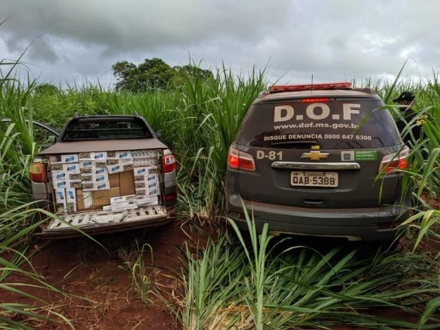 Motorista foge e abandona veículo com 15 mil pacotes de cigarros Fugiu por meio de um canavial. Divulgação/DOF