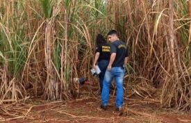 Seis jovens são detidos por suspeita de envolvimento em estupro seguido de morte Corpo da jovem no canavial.