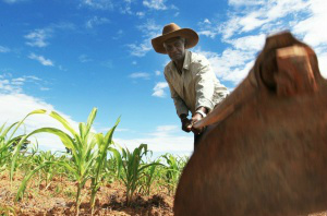 Auditoria da CGU aponta quase 2 mil lotes da reforma agrária irregulares em MS A partir das recomendações da CGU, Incra se comprometeu a sanar irregulares - Foto: Ana Nascimento/Portal Brasil