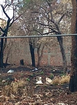 Ossada é encontrada em terreno no Parque dos Poderes Ossada estava no terreno que pegou fogo no último dia 23 de agosto. Mayara Bueno/Midiamax
