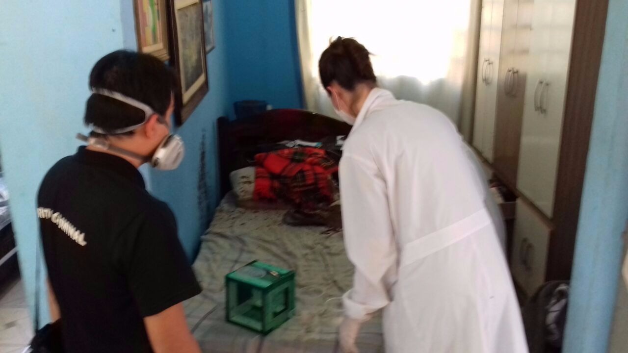 Vigia é encontrado morto e insetos podem ajudar polícia a desvendar o caso