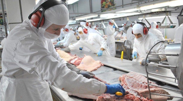 De açougueiro a zelador, setembro começa com 598 oportunidades de trabalho De açougueiro a zelador, setembro começa com 598 oportunidades de trabalho