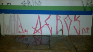 Adolescentes são detidos pichando muro da Águas de Guariroba Os adolescentes ao avistarem os guardas municipais tentaram fugir. (foto: divulgação)