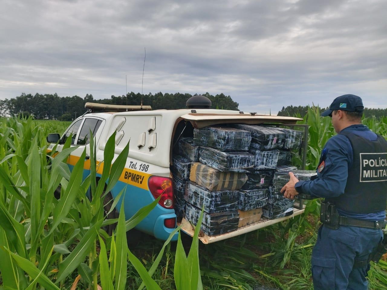 Polícia Militar Rodoviária encontra mais de R$500 mil reais de droga abandonada no milharal Divulgação