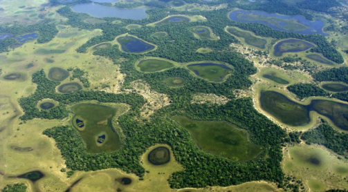 Governo define critérios do ICMS Ecológico para municípios com gestão de resíduos sólidos Governo define critérios do ICMS Ecológico para municípios com gestão de resíduos sólidos