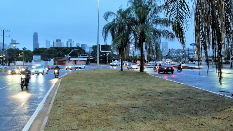 Rotatória da Joaquim Murtinho com Ceará ganha novo paisagismo Rotatória da Joaquim Murtinho com Ceará ganha novo paisagismo