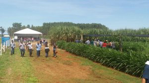 Feira apresenta tecnologias para melhorar rendimento e produção no campo Dinapec acontece na sede da Embrapa até às 16h30. Feira acaba amanhã. (Foto: Embrapa Gado de Corte)
