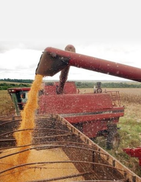 Cadastro Ambiental Rural será exigido por bancos a partir de junho