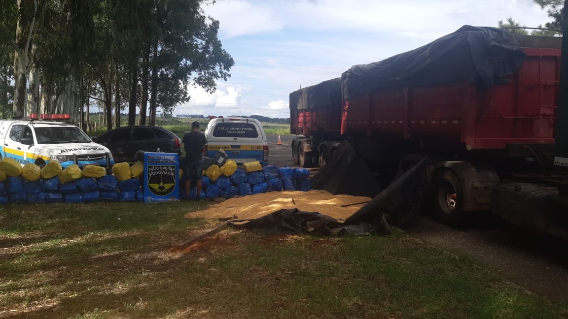 Polícia apreende 1,3 tonelada de maconha em meio a carga de milho