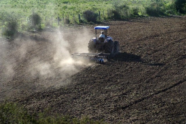 Governo amplia investimentos para pequenos e médios produtores rurais Recursos para investimentos. Paulo Lanzetta/Embrapa