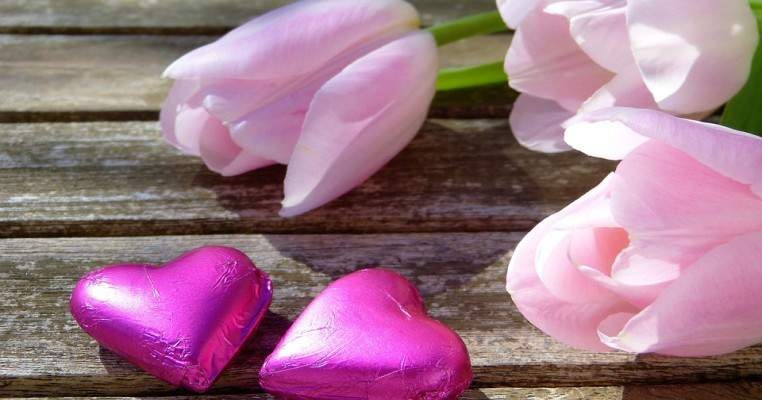 Procon pesquisa preços de flores para o Dia das Mães Pixabay