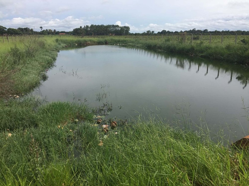 Menino se afoga em lagoa nos fundos do bairro Moreninha, em Campo Grande (Foto: Graziela Rezende)