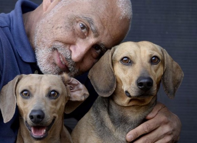Remédio contra a leishmaniose canina é vendido a alto custo no Brasil divulgação