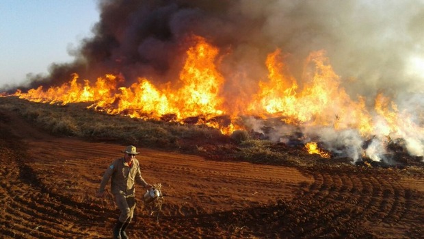 Bombeiros ampliam combate a incêndios florestais em MS