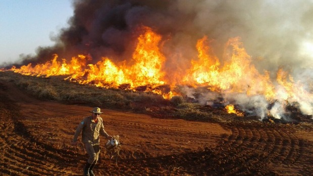 Bombeiros ampliam combate a incêndios florestais em MS Bombeiros ampliam combate a incêndios florestais em MS