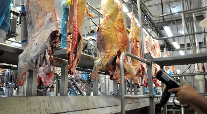 Com aumento nas exportações de carne e celulose, economia de MS segue positiva Divulgação