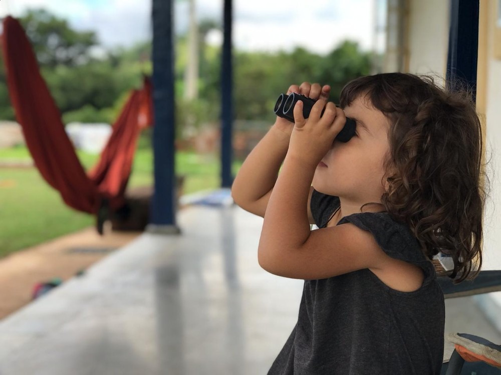 Evento Mundial Big Day acontece amanhã com observadores de aves também da capital Divulgação