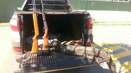 PMA prende dois caçadores com jacaré abatido, armas e munições e aplica multa de R$ 10 mil PMA/Divulgação