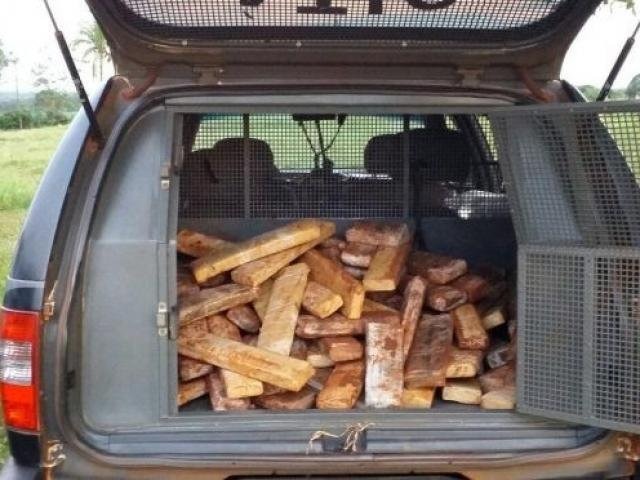 Droga apreendida no interior da viatura da Polícia Civil.